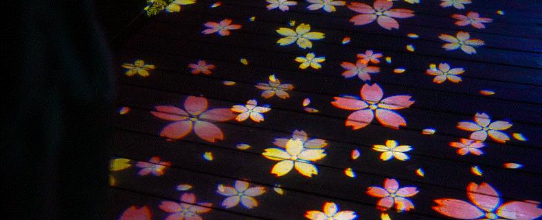 飚越野车、露营、划船…就在广州这个「新游乐园」