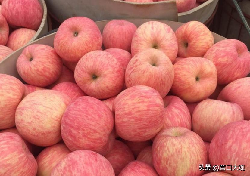 瓜果之乡的苹果,辽宁盖州苹果介绍