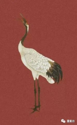 心理学微行为,破解行为背后的心理秘密