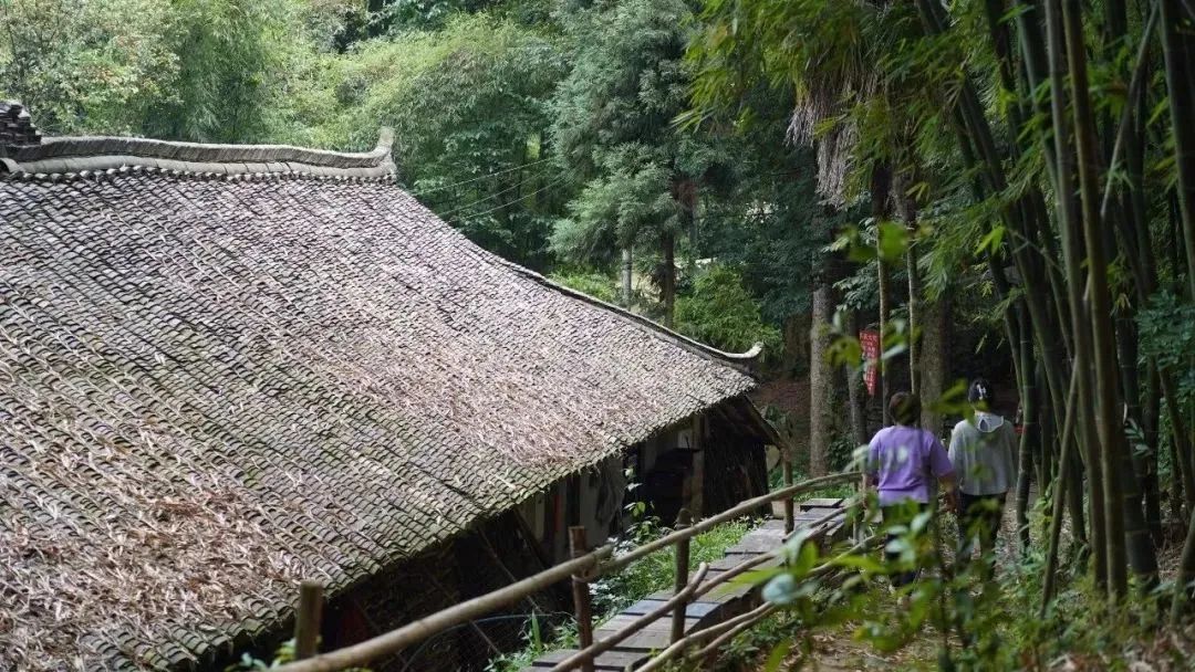 邛崃川西竹海攻略,邛崃竹海徒步攻略