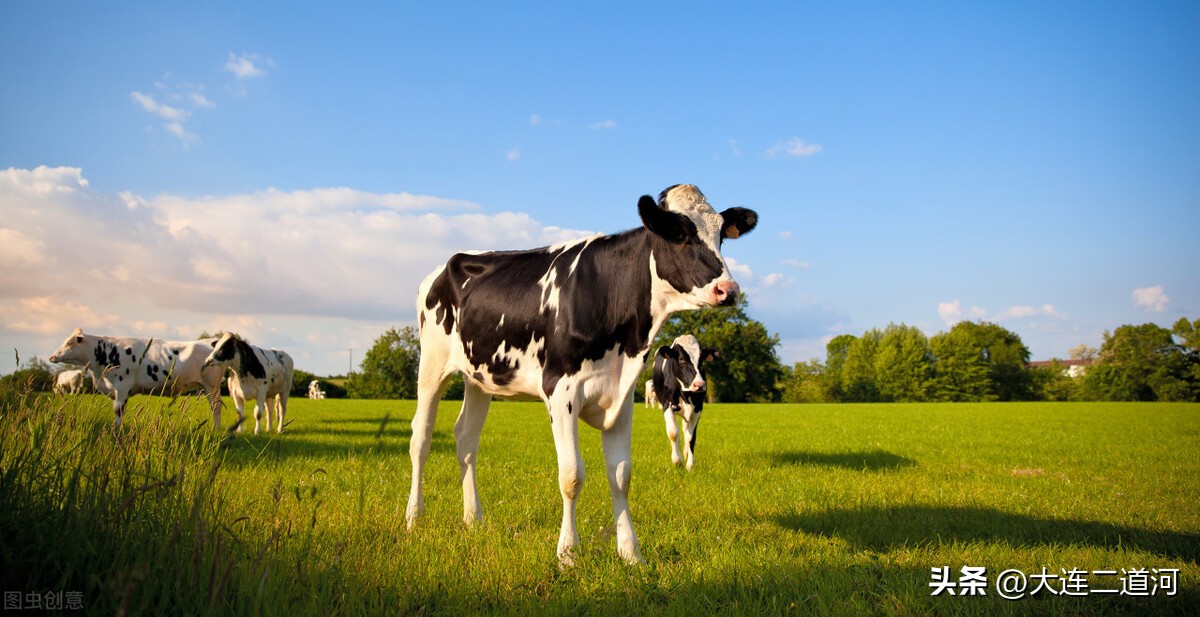 性价比更高的奶粉,性价比高喝了抵抗力强的奶粉