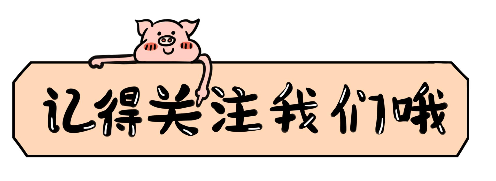 泰迪最想告诉你的几件事,泰迪知道什么秘密