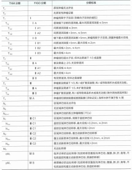 宫颈癌最新放疗指南共识,csco宫颈癌指南2022