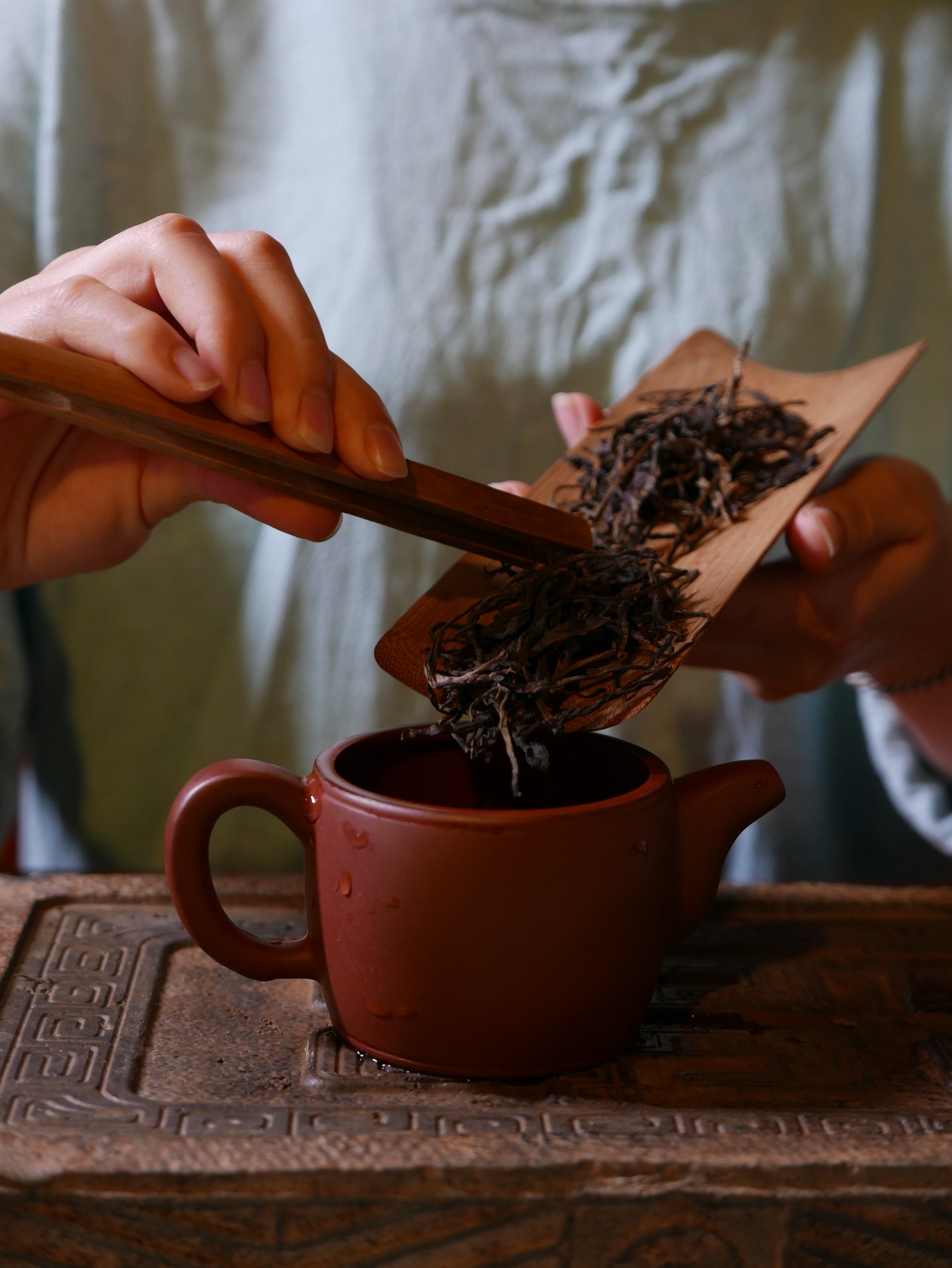 老茶人普洱茶发酵方法,老茶人视频教学