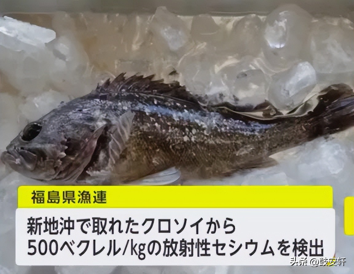 日本福岛核泄漏原因,日本福岛核泄漏是如何发生的