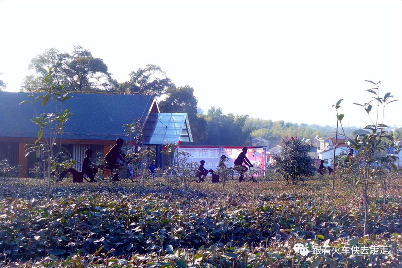 宜兴小镇的深氧之旅——张渚镇龙池山自行车公园
