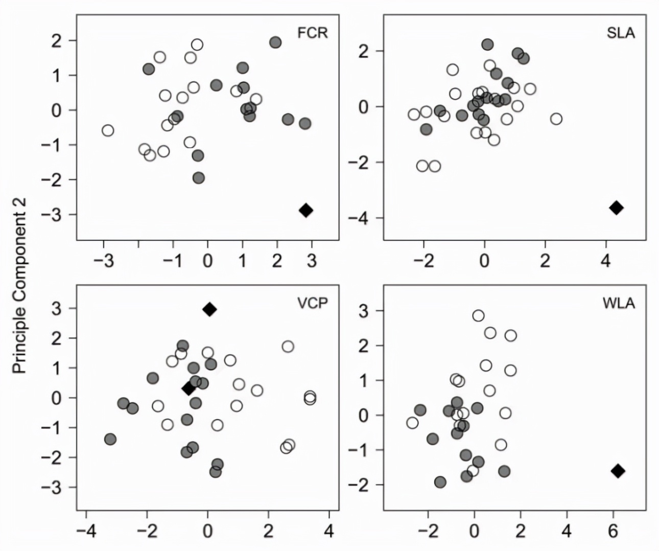 珍稀蝴蝶标本阴阳蝶,雌雄阴阳蝶图片