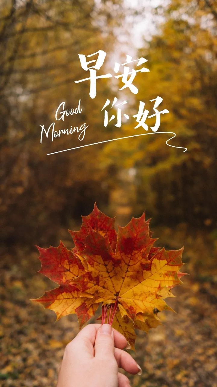 早安简单干净的句子,一句话精致早安励志语录