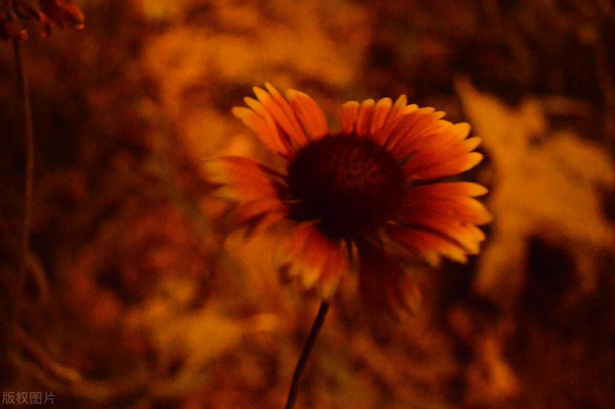 一个人有财的征兆,一个人的财运不好会有什么征兆