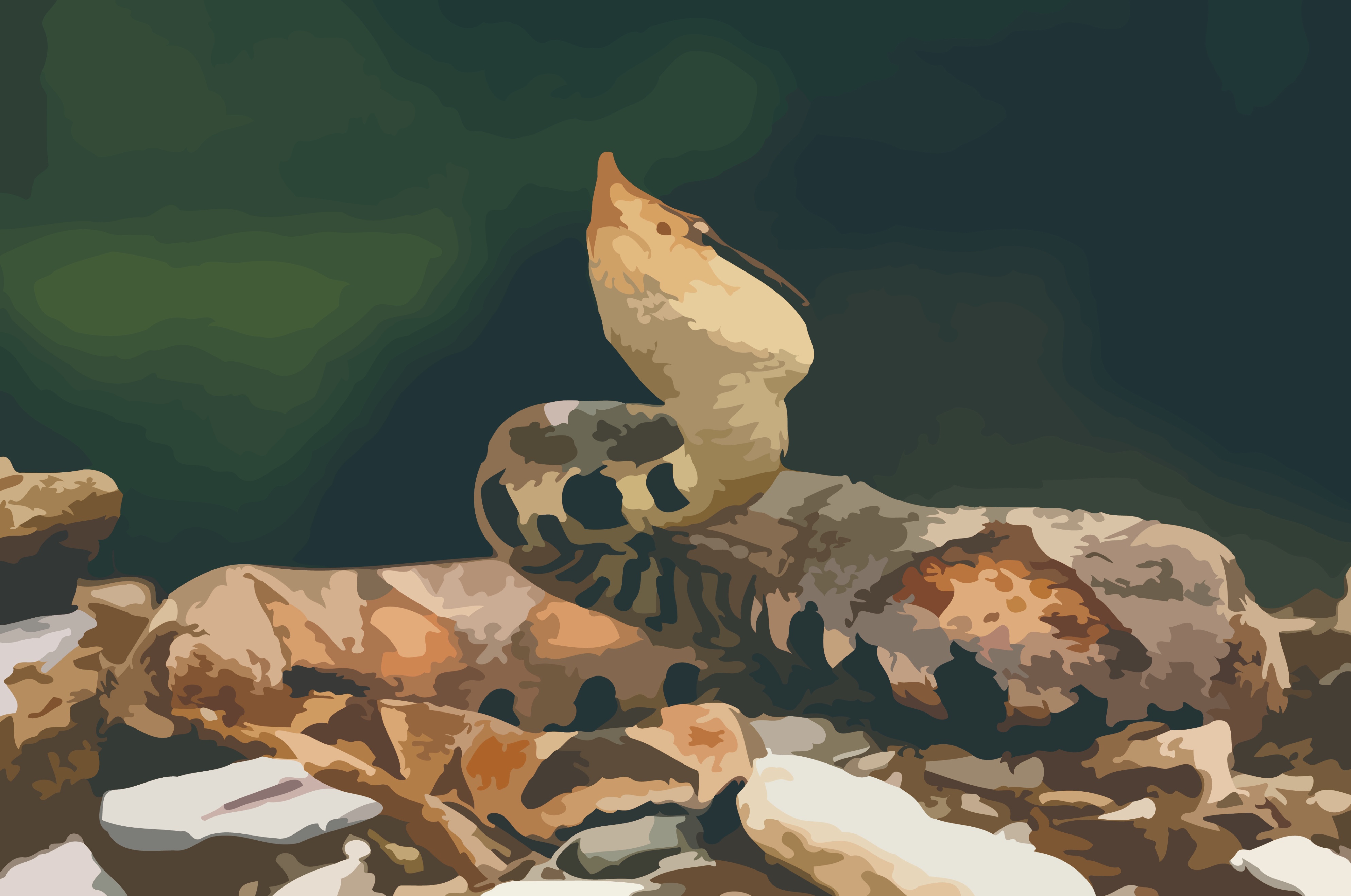 被五步蛇咬了多久能好,被五步蛇咬后退五步会解毒吗