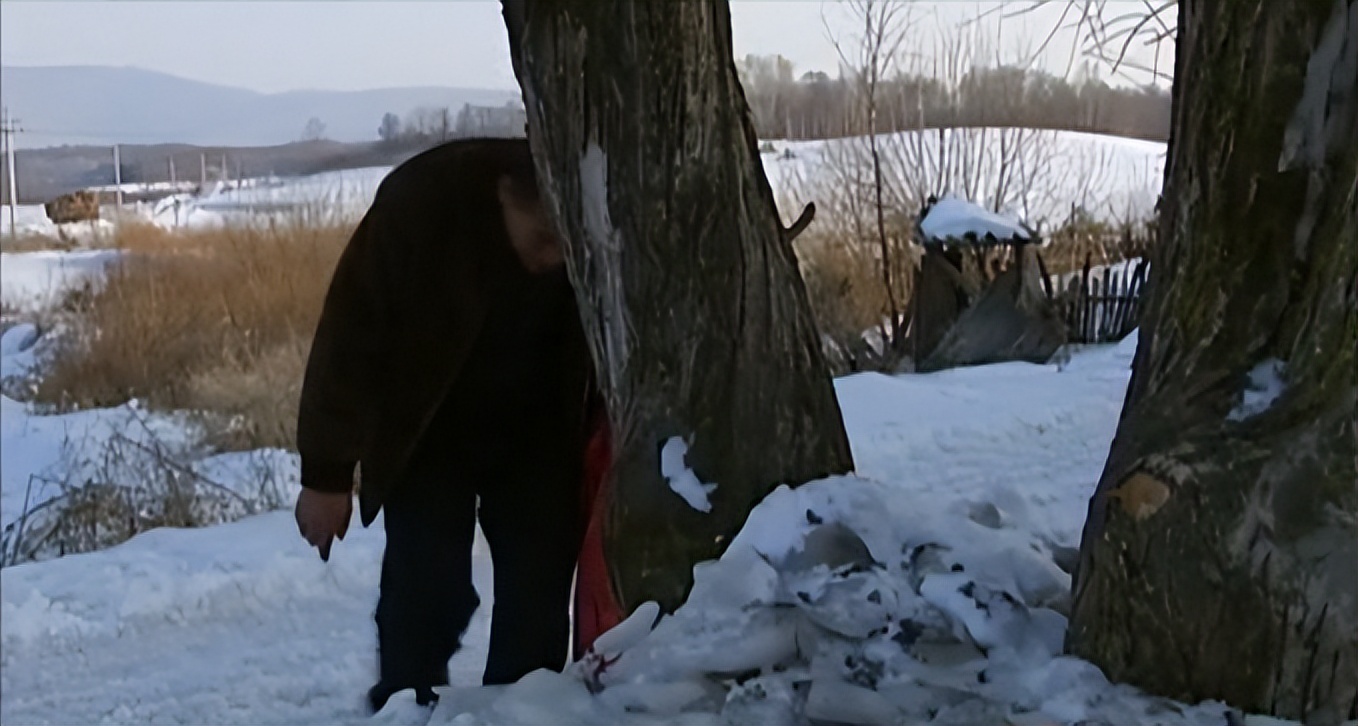 吉林男子野外捡鹿,吉林男子捡到小鹿