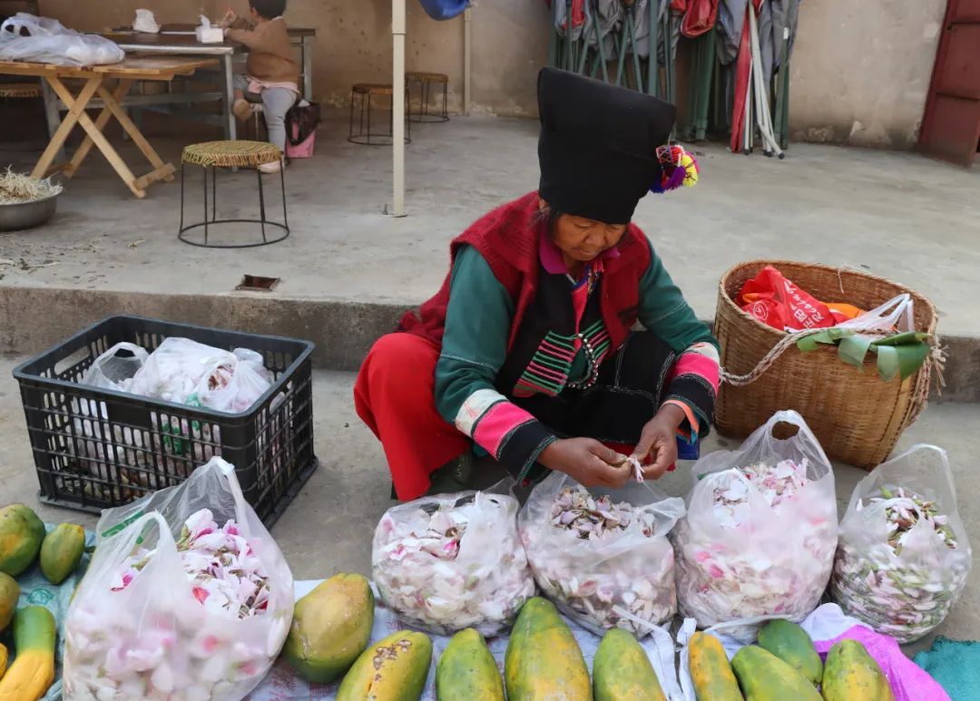 【乡村振兴】小小白露花里的“大”商机