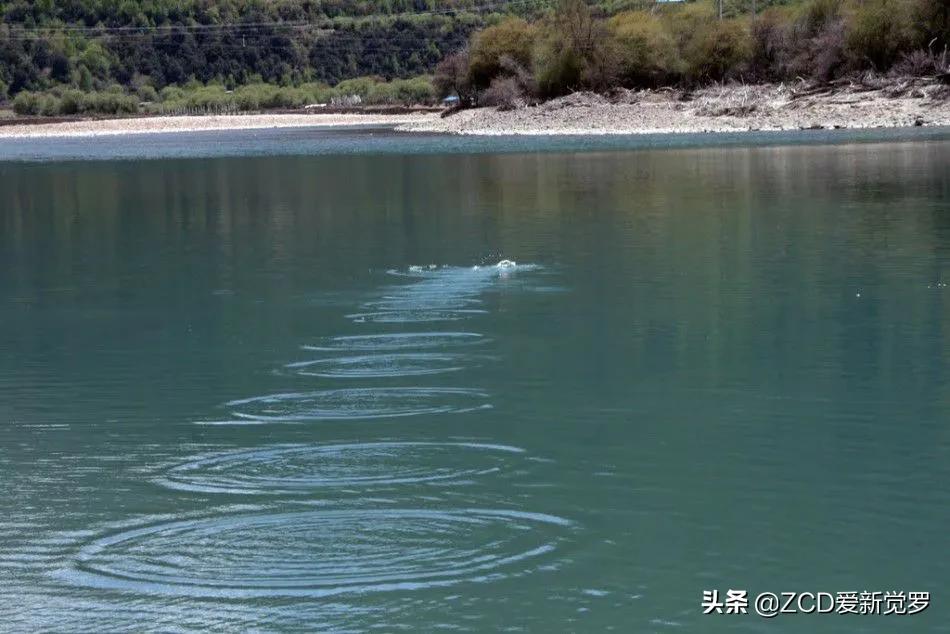 童年时所有的游戏,童年时候的游戏有哪些