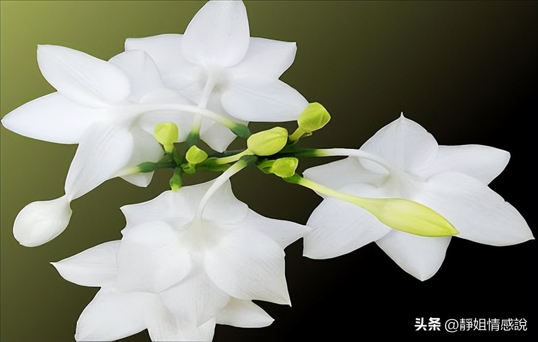 对方出轨了一定要离婚吗,老公婚外情出轨一定要离婚吗