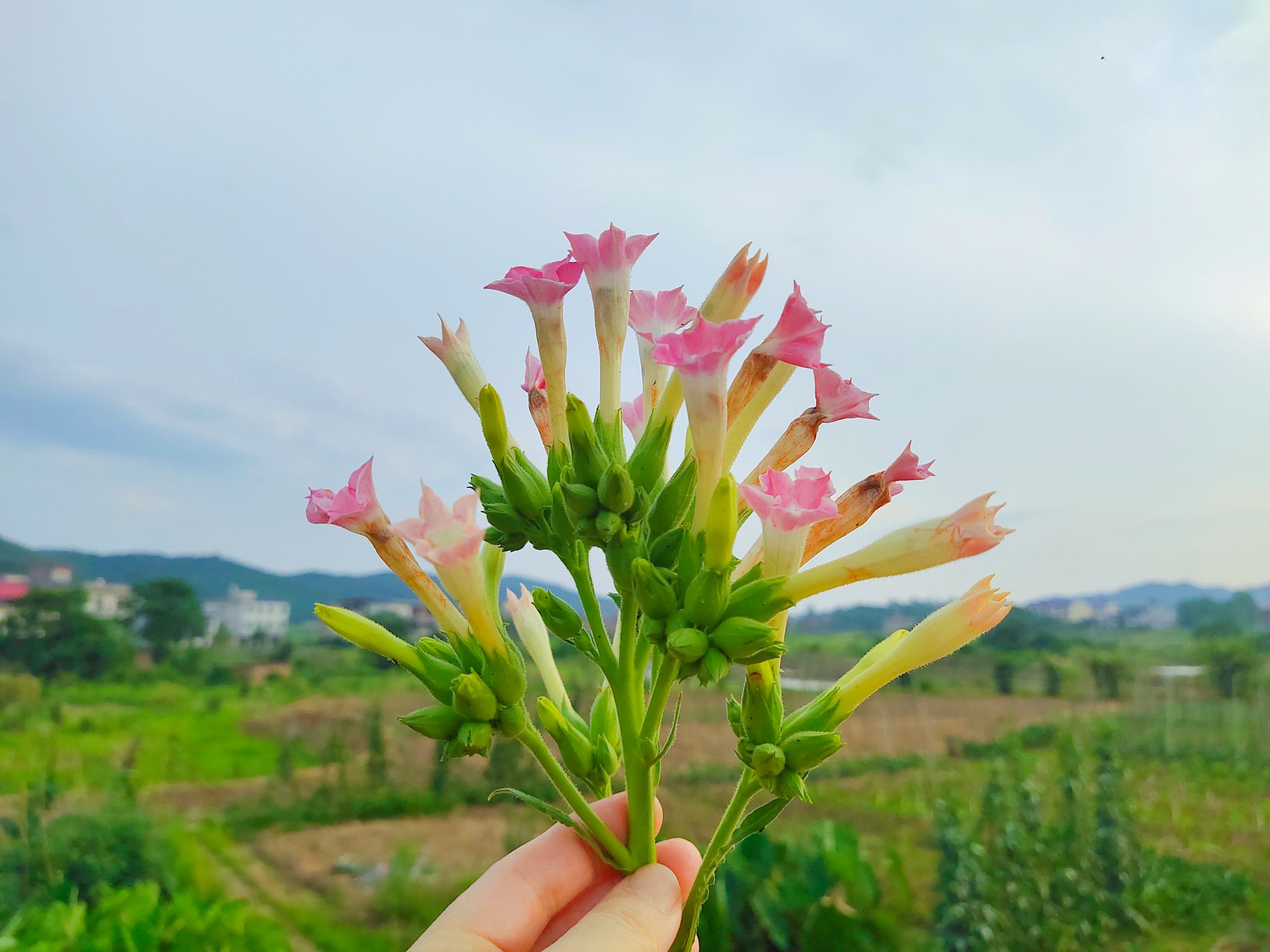 相亲见面两次可以发展到什么地步,同一个相亲对象介绍两次