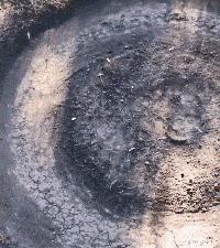 想知道平时的消费在什么价格,想要知道自己什么阶层