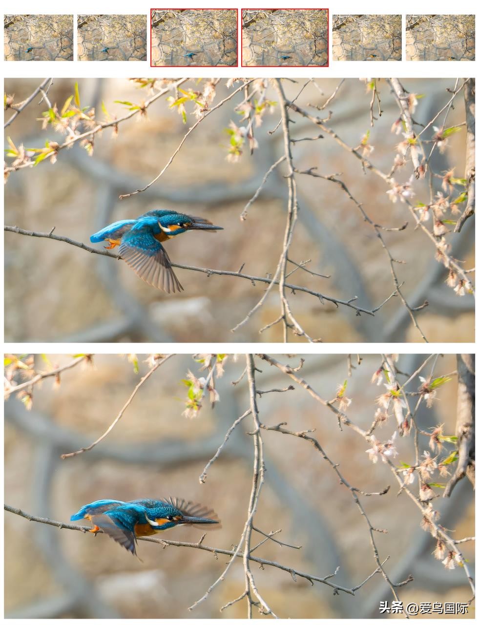 富士xh2s必备镜头,富士x-h2s配人像镜头