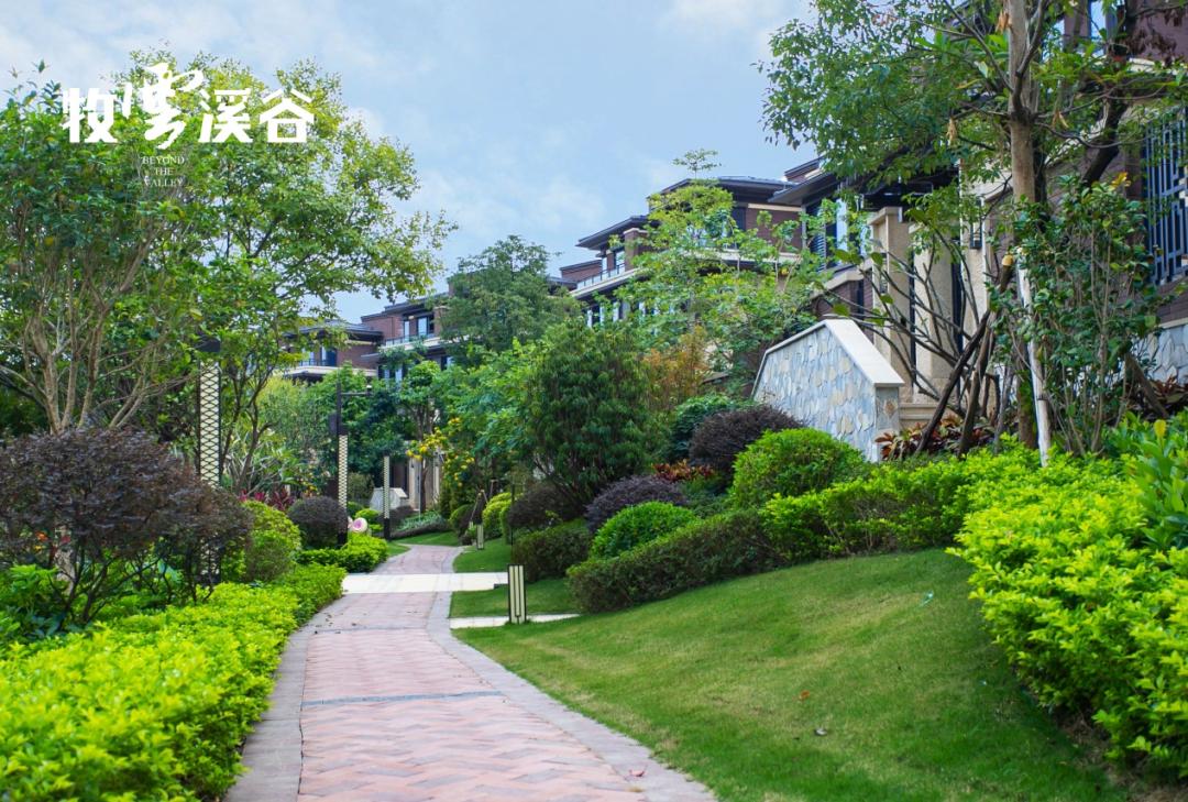 终于等到了！比想象更美的稀缺湖景别墅！