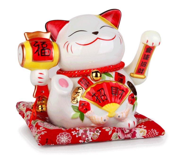 为什么有招财猫却没有招财狗鱼,为什么只有流浪猫没有流浪狗