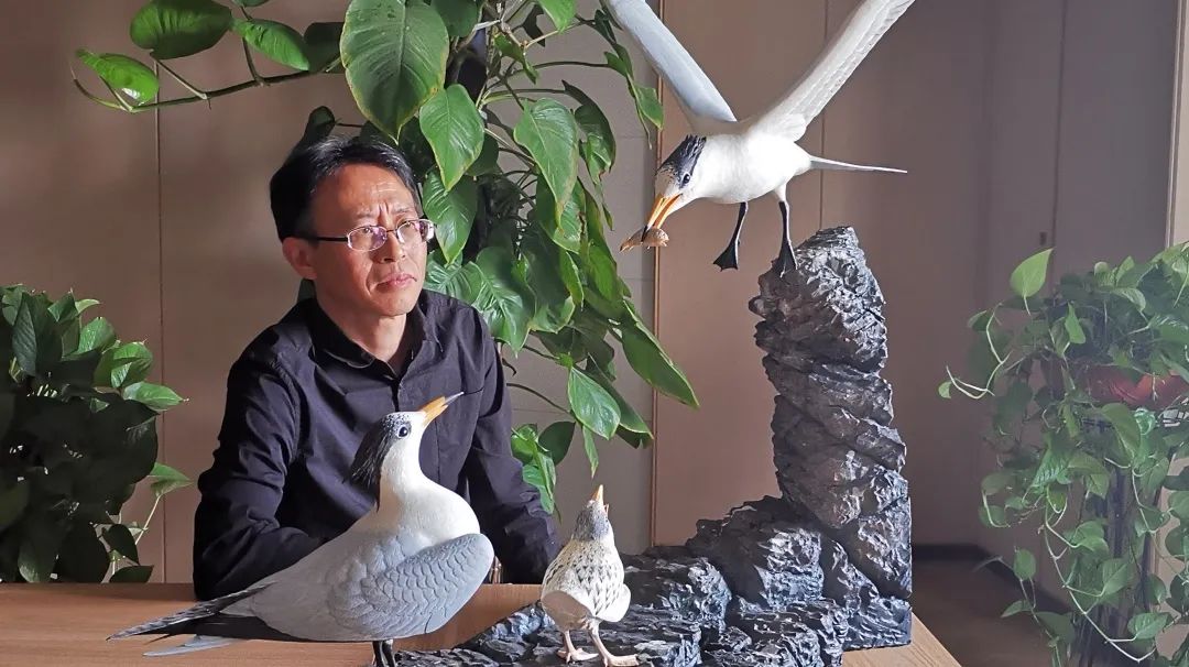 鸟人图鉴│陈水华、范忠勇追寻“神话之鸟”——中华凤头燕鸥