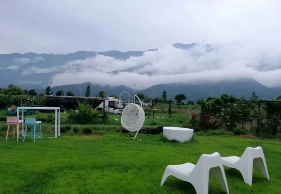 大理农场主明会姐|给我最大力量的,不是资本,也不是情怀