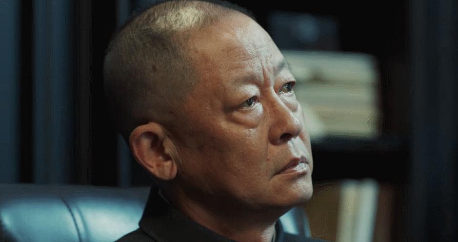 靳东最新谍战剧,靳东新出来的谍战剧