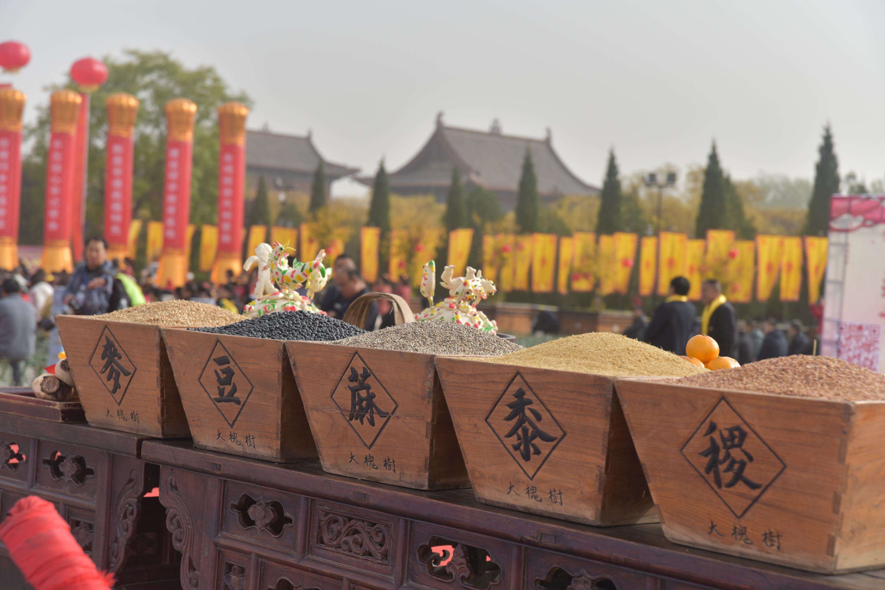 中国5000年的五谷文明，与“胡番洋”外来作物做对比，谁更胜一筹