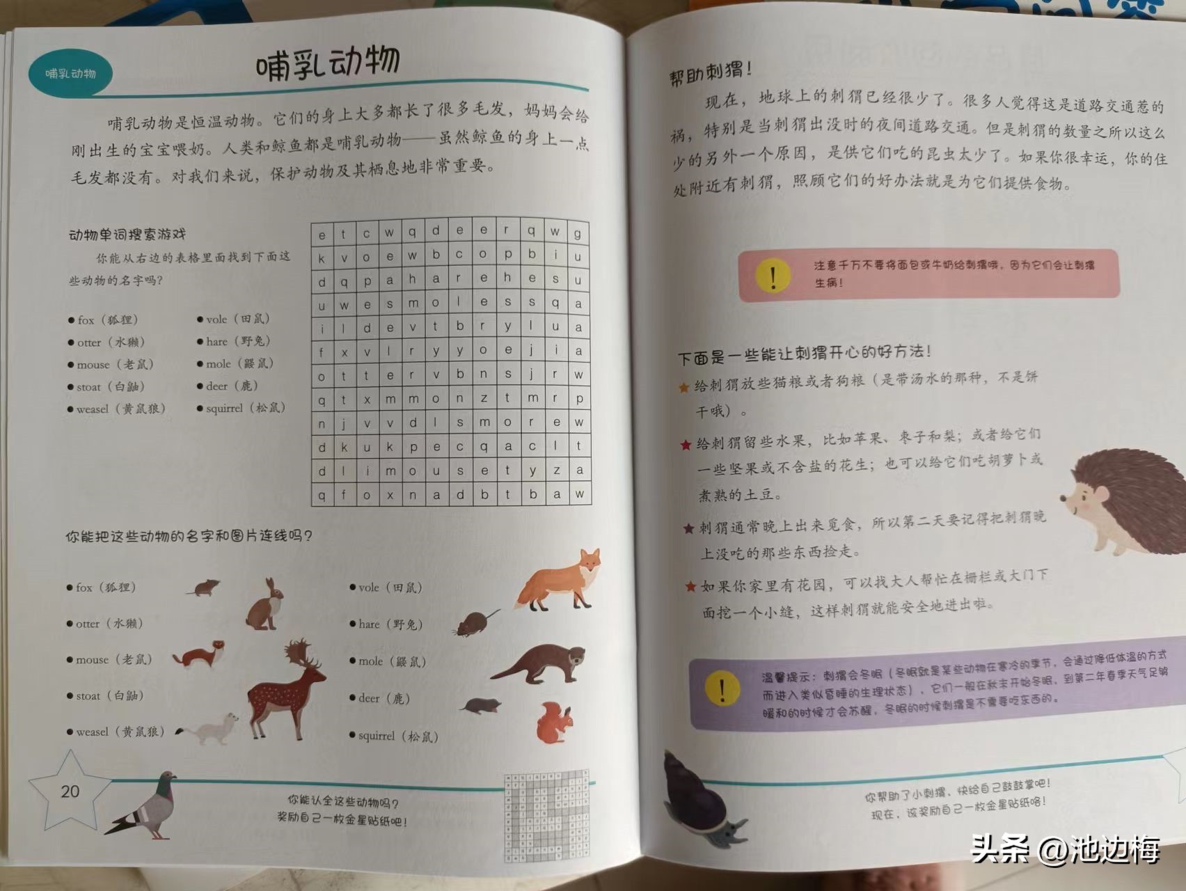 《一起来探秘：只写了一半的科学问答游戏书》：过年送礼就它了