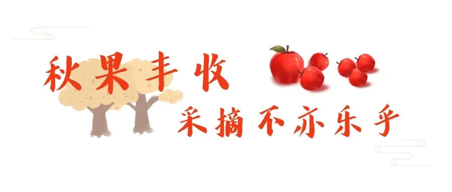 抓住秋天摘苹果,抓住秋天的尾巴赏红叶