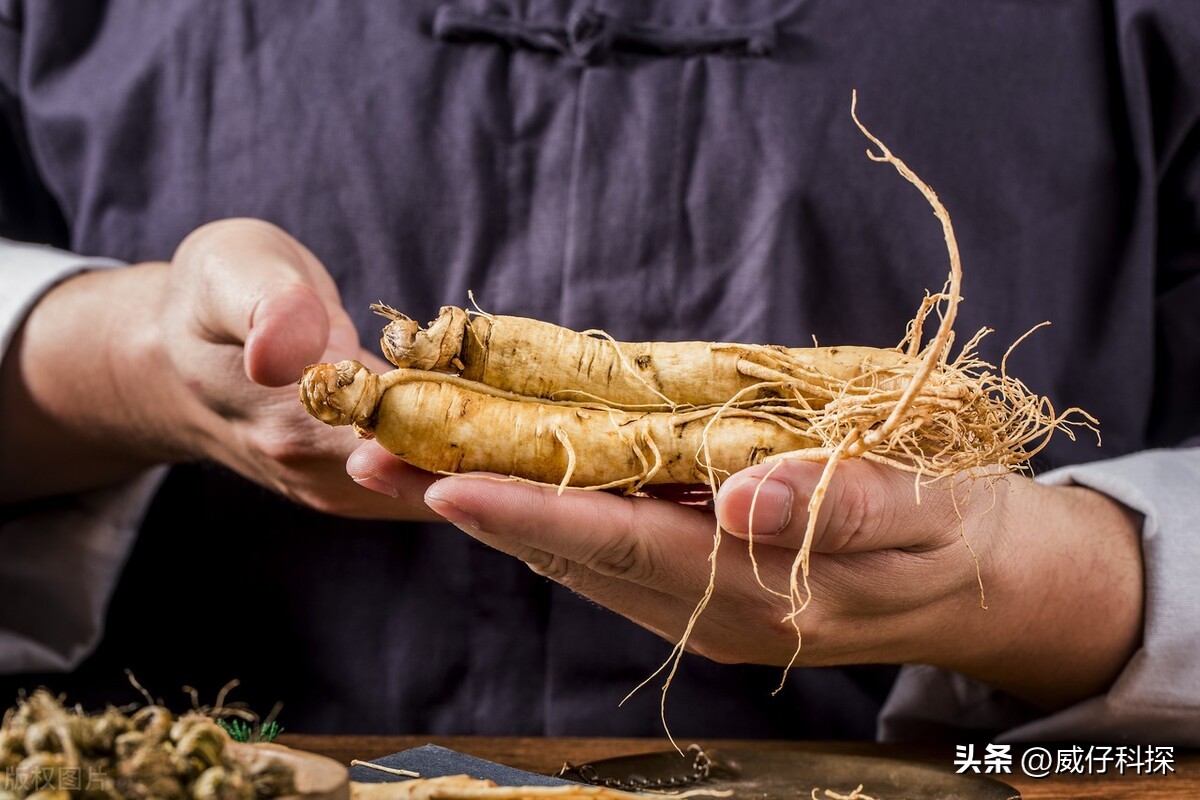 2020年农业最挣钱的商机,2023年在农村创业搞什么会赚钱