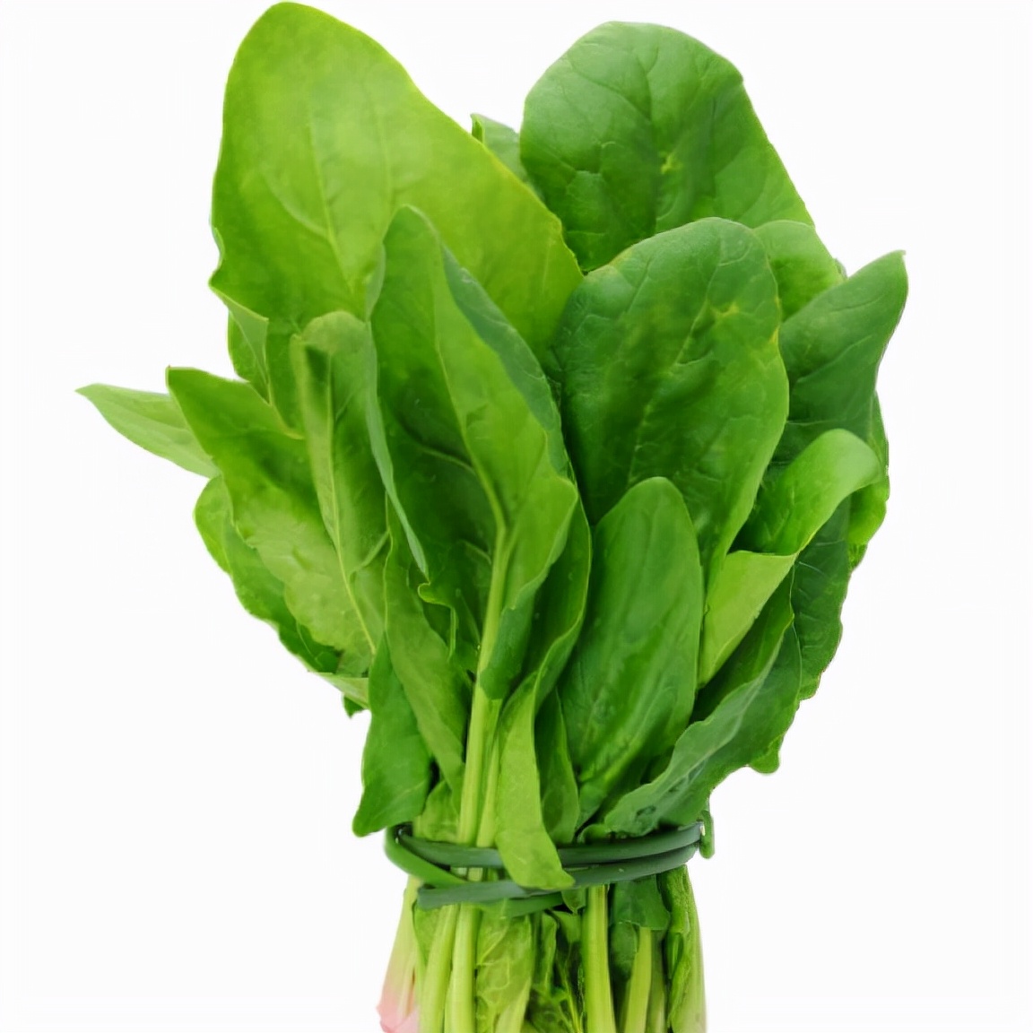 最有营养的蔬菜之王,求最有营养的七大蔬菜