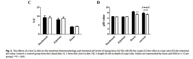 浣庨挋楗叉枡,浣庨挋鏃ョ伯