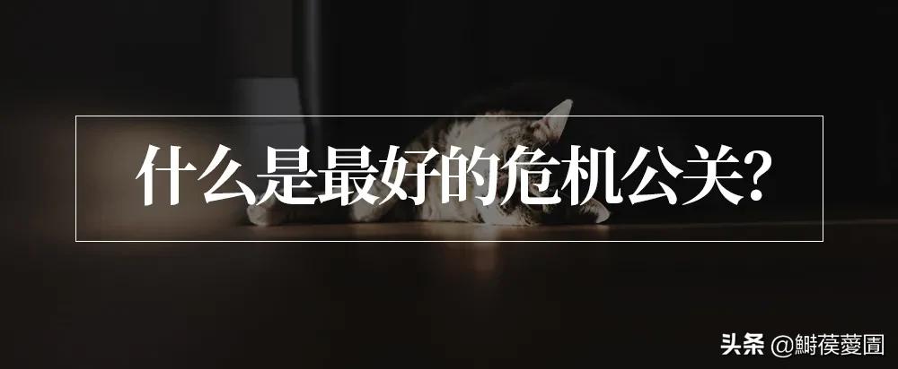 当家主母为什么杀害幺娘,母猫杀小猫事件