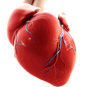 急救室40秒除颤,除颤30秒视频