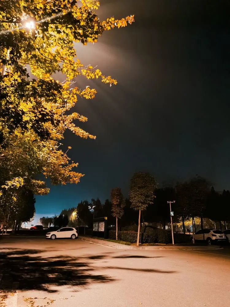 层林尽染的视频号,濮阳医专学历怎么样