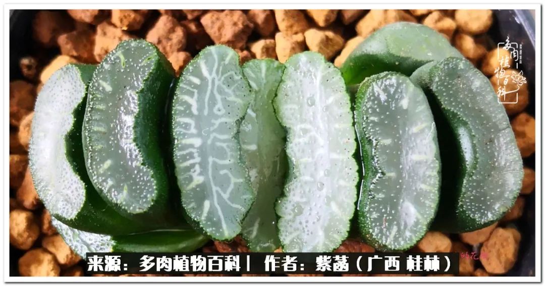 酷暑里的关爱，如十二卷般透亮绵长