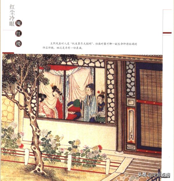 文学鉴赏红楼梦800字大学,红楼梦文学欣赏