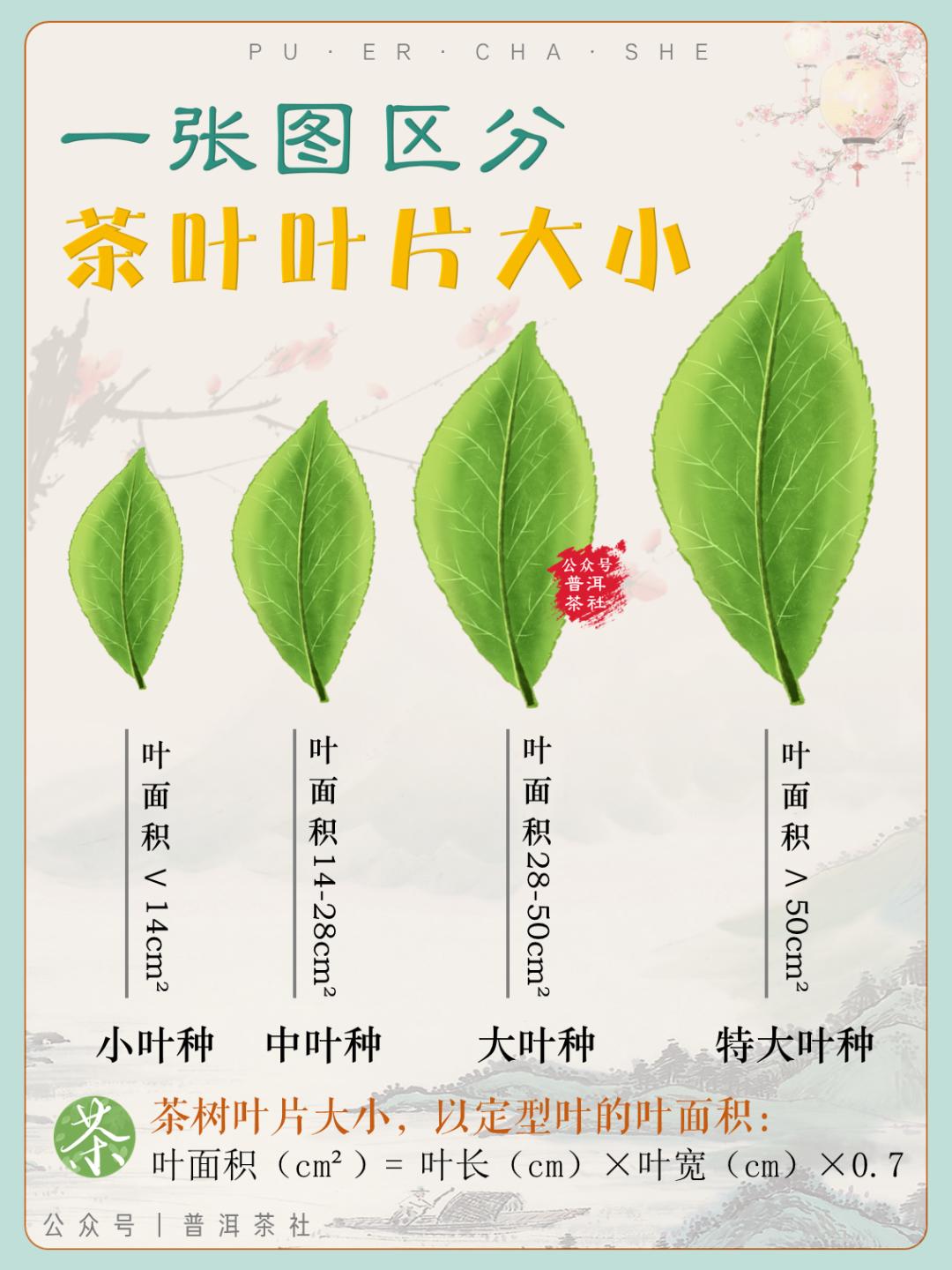 普洱茶惊艳的小产区,一张图看懂100个普洱茶产区