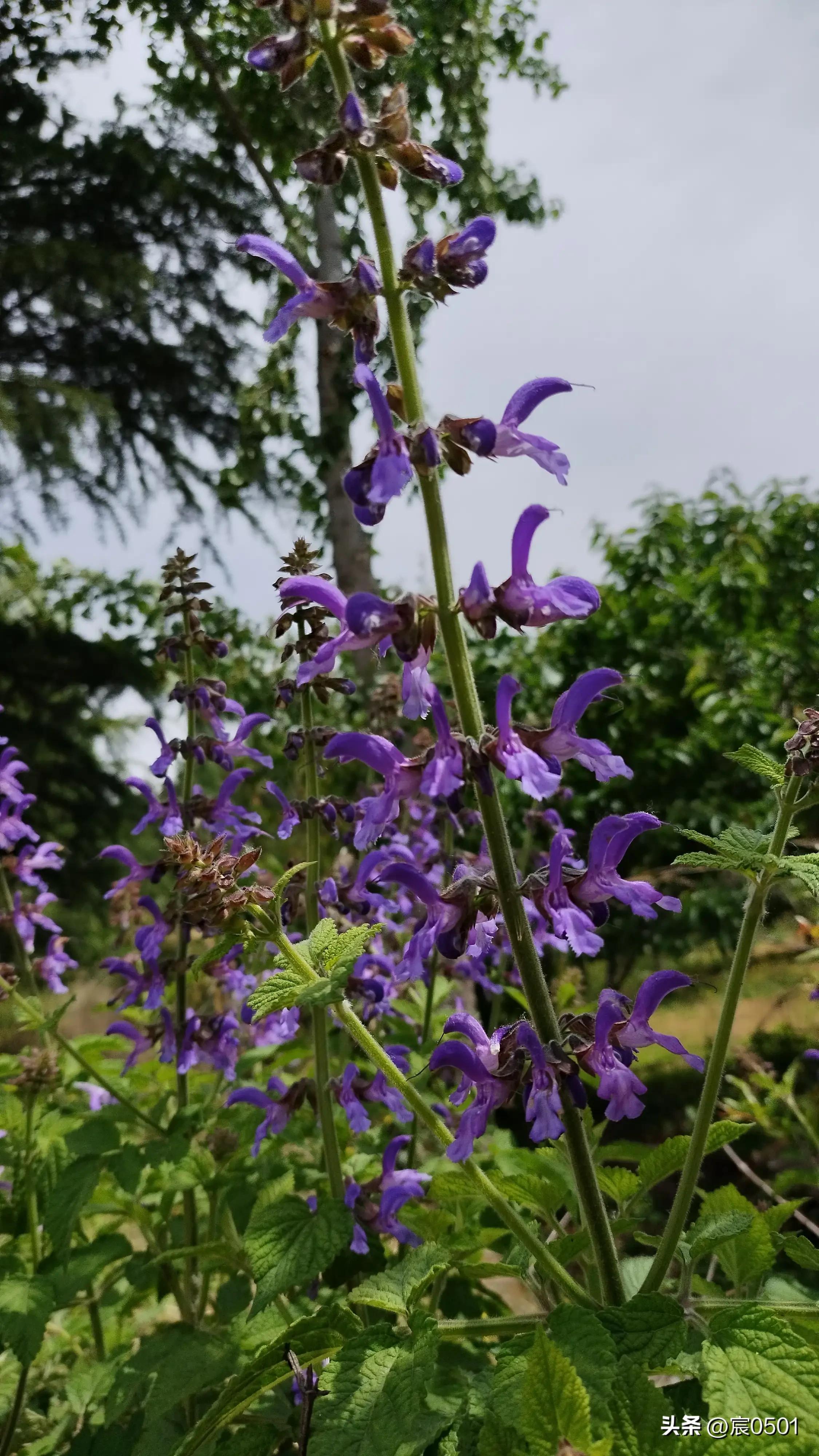 侄子生病她去探望，一瓶八块钱的矿泉水让她泪目：爸一顿饭才一块