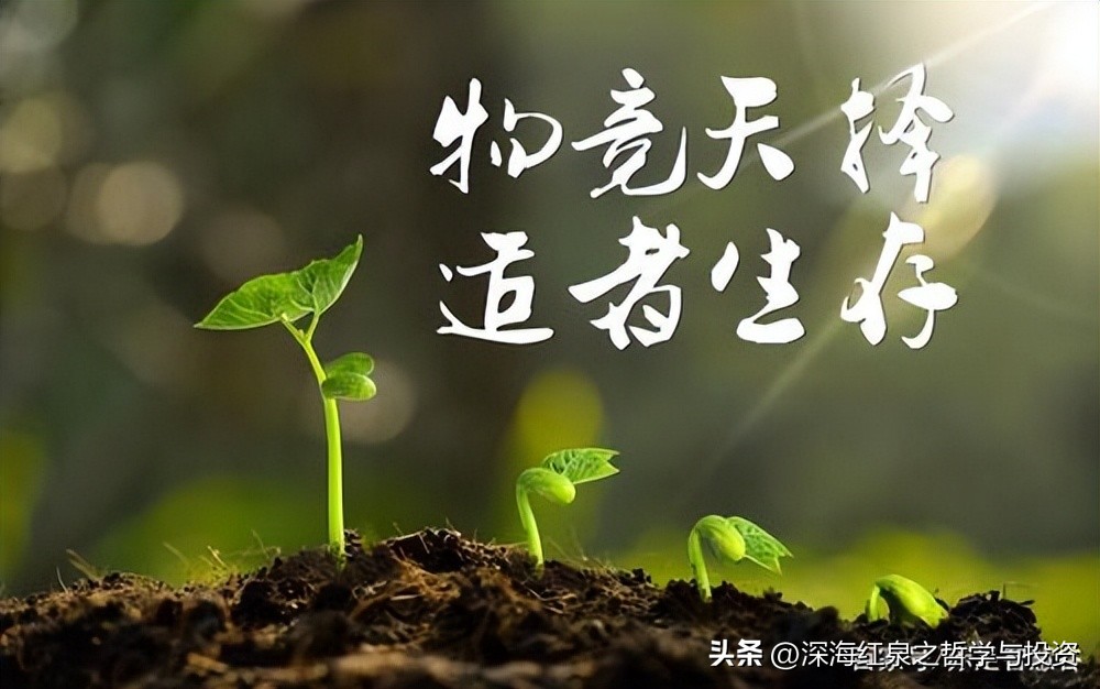 股票趋势波段操作完整过程,把握股市规律其实很简单