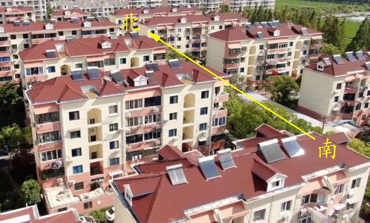 辨认方向的办法,通过树叶辨认方向