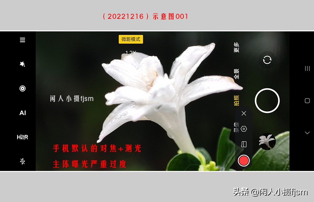 手机拍摄微距人像教程,关于手机微距摄影的一些小技巧