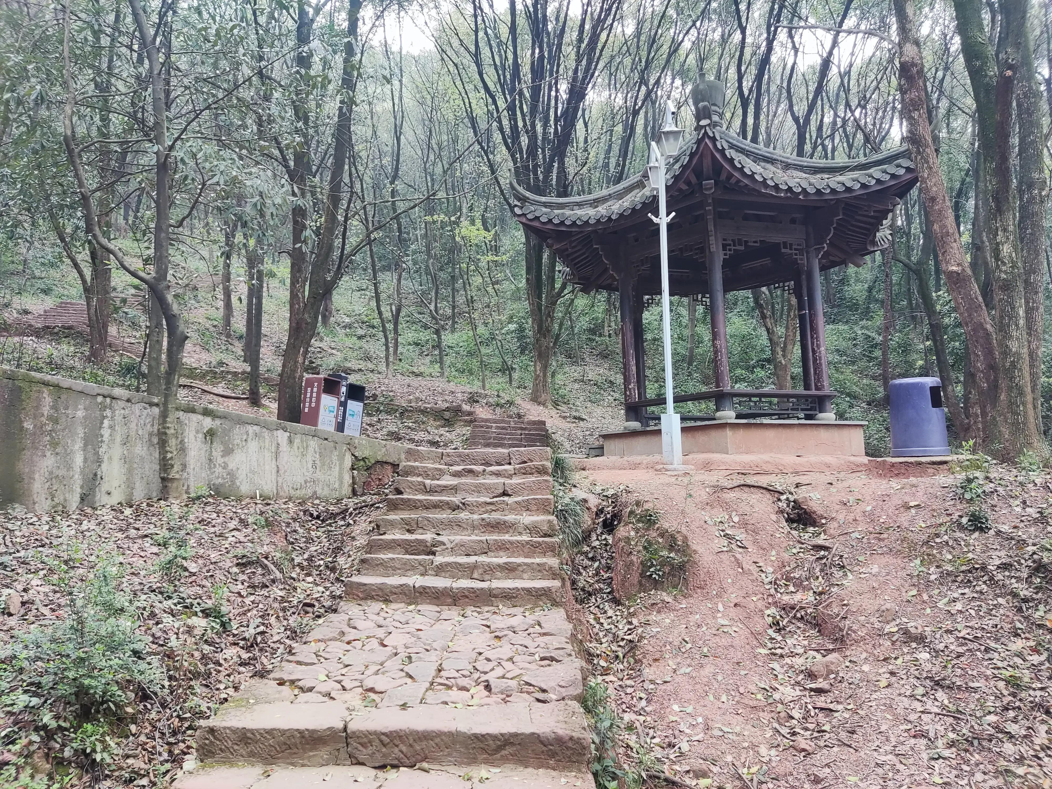 坐长途火车游中国,坐着火车旅行中国