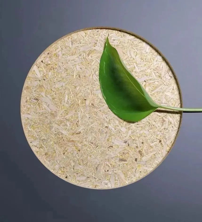 创美致简健康板BORONO柏牙诺强势推出，无毒无味F4星环保更受关注