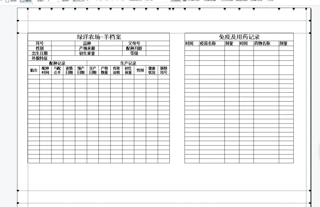 95后女大学生辞职返乡种地,95后女生返乡创业养鹅