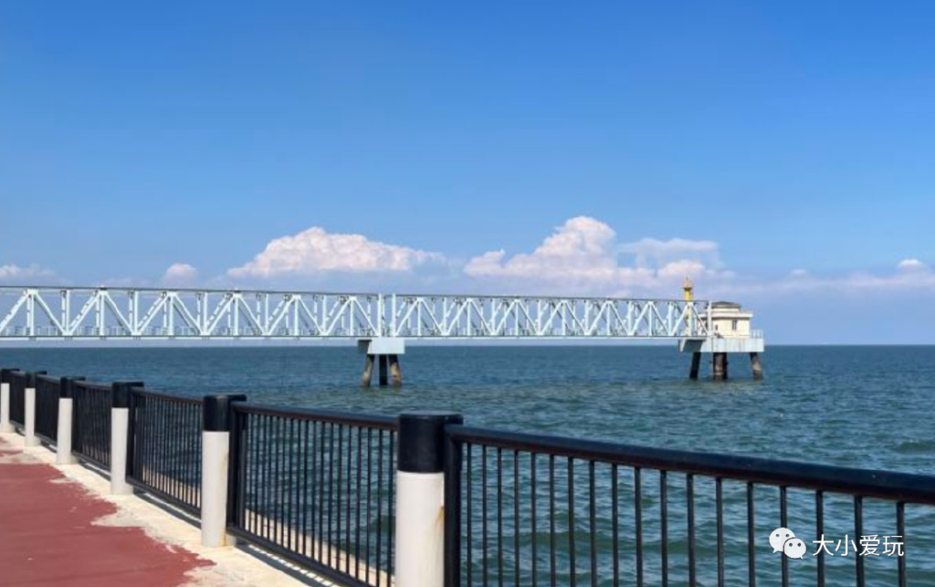 带娃赶海地点推荐去哪里,带孩子海边赶海3日游攻略