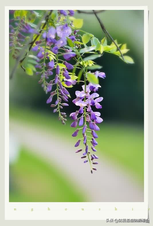 一年好景君须记,一年好景君须记图片