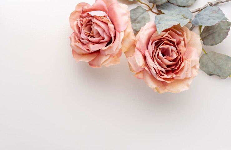 伴侣总是喜欢打击和贬低内心阴暗,经常贬低你的男人内心有多阴暗