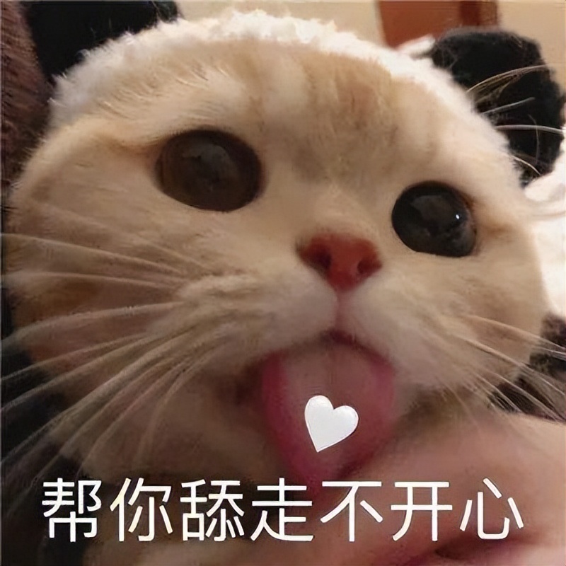 猫咪舔另一个头代表什么,猫咪舔有气味的地方是什么意思