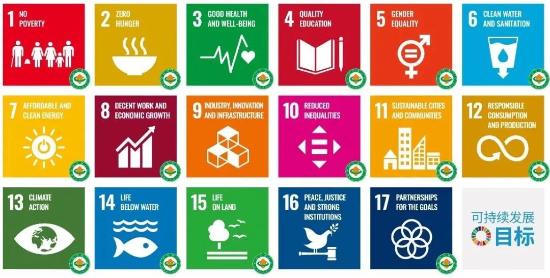 专家讲碳中和怎样实现,专家谈碳中和